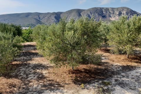 Landejendom i Teulada, Alicante, Teulada - € 530.000 | Ref: C449 - foto 33
