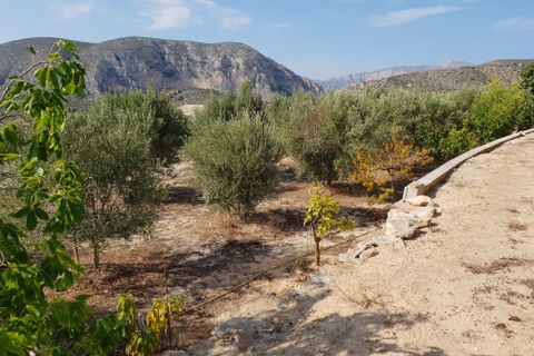 Landejendom i Teulada, Alicante, Teulada - € 530.000 | Ref: C449 - foto 34