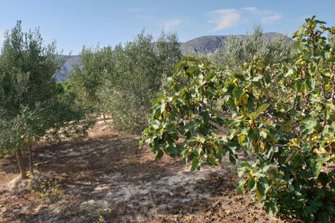 Landejendom i Teulada, Alicante, Teulada - € 530.000 | Ref: C449 - foto 35