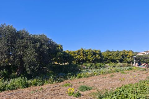 Tomt i Teulada, Alicante, Teulada - € 750 000 | Ref: P193 - foto 2