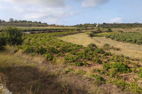 Tomt i Teulada, Alicante, Teulada - € 379 000 | Ref: P185 - foto 13