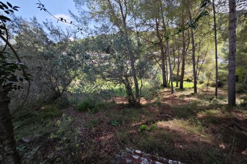 Landejendom i Orba, Alicante, Orba - € 899.000 | Ref: C538 - foto 8