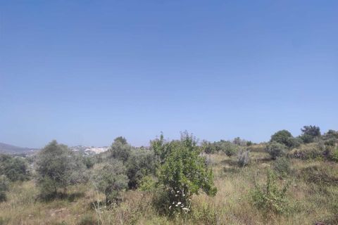 Helårsgrund i Benissa, Alicante, Benissa - € 138.900 | Ref: P117 - foto 3