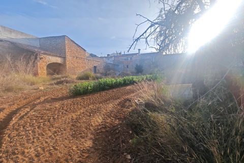 Byhus i Lliber, Alicante, Lliber - € 840.000 | Ref: C568 - foto 4