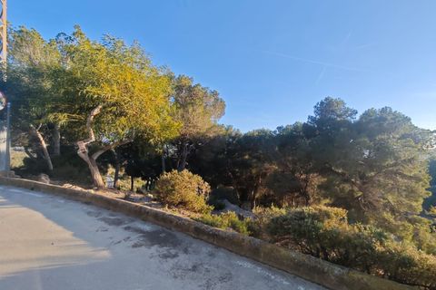 Tomt i Teulada, Alicante, Teulada - € 375 000 | Ref: P194 - foto 3