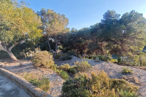 Tomt i Teulada, Alicante, Teulada - € 375 000 | Ref: P194 - foto 4