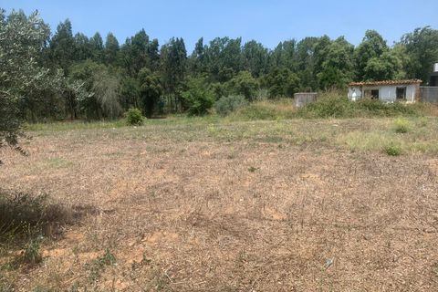 Helårsgrund i Rio Maior, Santarem, Rio Maior - € 35.000 | Ref: SF-SAFTI:003581 - foto 2