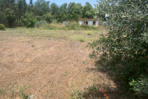 Helårsgrund i Rio Maior, Santarem, Rio Maior - € 35.000 | Ref: SF-SAFTI:003581 - foto 3