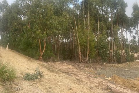 Helårsgrund i Matacaes, Lisbon, Matacaes - € 120.000 | Ref: SF-SAFTI:003691 - foto 4
