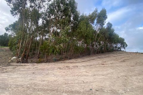 Helårsgrund i Matacaes, Lisbon, Matacaes - € 120.000 | Ref: SF-SAFTI:003691 - foto 10