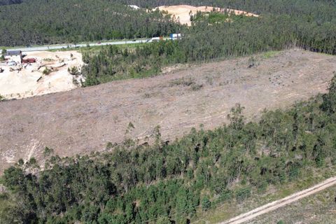 Helårsgrund i Pombal, Leiria, Pombal - € 45.000 | Ref: SF-SAFTI:006498 - foto 3