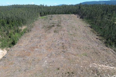 Helårsgrund i Pombal, Leiria, Pombal - € 45.000 | Ref: SF-SAFTI:006498 - foto 7