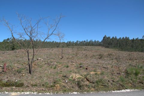 Helårsgrund i Pombal, Leiria, Pombal - € 45.000 | Ref: SF-SAFTI:006498 - foto 8