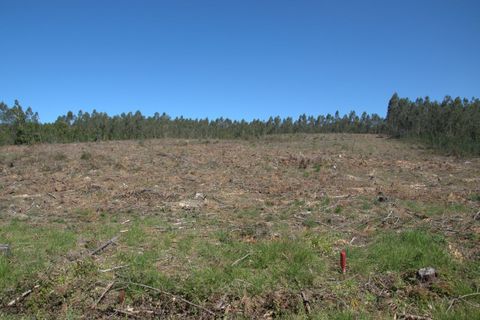 Helårsgrund i Pombal, Leiria, Pombal - € 45.000 | Ref: SF-SAFTI:006498 - foto 10