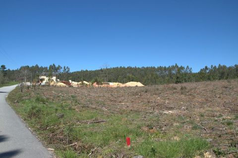 Helårsgrund i Pombal, Leiria, Pombal - € 45.000 | Ref: SF-SAFTI:006498 - foto 11
