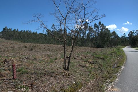 Helårsgrund i Pombal, Leiria, Pombal - € 45.000 | Ref: SF-SAFTI:006498 - foto 12
