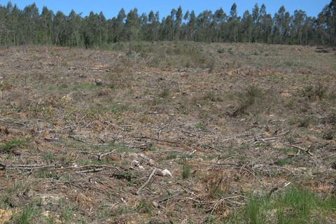 Helårsgrund i Pombal, Leiria, Pombal - € 45.000 | Ref: SF-SAFTI:006498 - foto 13