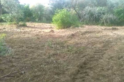 Helårsgrund i Ourem, Santarem, Ourem - € 32.000 | Ref: SF-SAFTI:005376 - foto 3