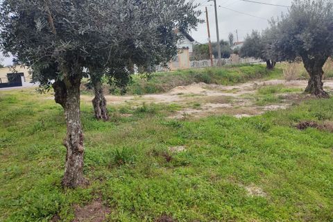 Helårsgrund i Ourem, Santarem, Ourem - € 32.000 | Ref: SF-SAFTI:005376 - foto 5