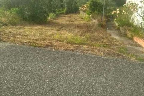Helårsgrund i Ourem, Santarem, Ourem - € 32.000 | Ref: SF-SAFTI:005376 - foto 2
