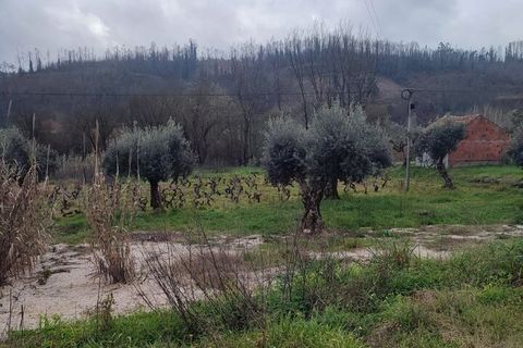 Helårsgrund i Ourem, Santarem, Ourem - € 32.000 | Ref: SF-SAFTI:005376 - foto 10