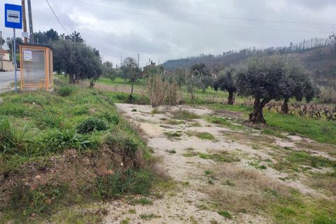 Helårsgrund i Ourem, Santarem, Ourem - € 32.000 | Ref: SF-SAFTI:005376 - foto 9