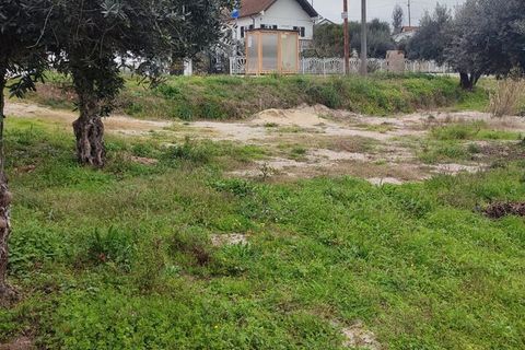 Helårsgrund i Ourem, Santarem, Ourem - € 32.000 | Ref: SF-SAFTI:005376 - foto 11