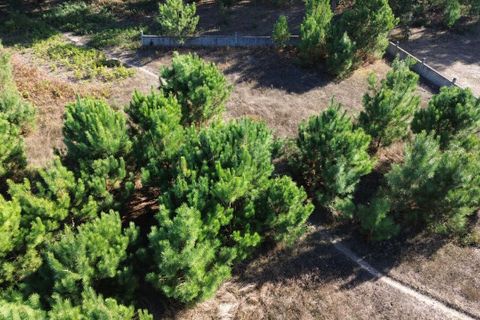 Helårsgrund i Maxial e Monte Redondo, Lisbon, Maxial e Monte Redondo - € 180.000 | Ref: SF-SAFTI:005811 - foto 4
