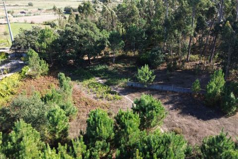Helårsgrund i Maxial e Monte Redondo, Lisbon, Maxial e Monte Redondo - € 180.000 | Ref: SF-SAFTI:005811 - foto 11
