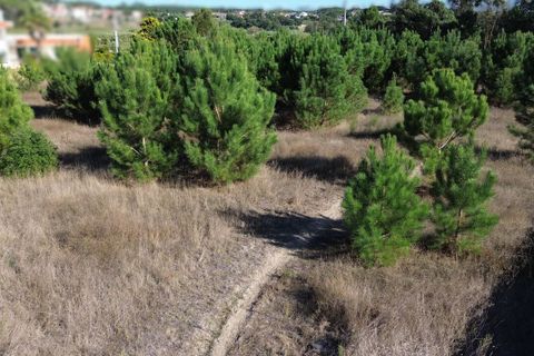 Helårsgrund i Maxial e Monte Redondo, Lisbon, Maxial e Monte Redondo - € 180.000 | Ref: SF-SAFTI:005811 - foto 12
