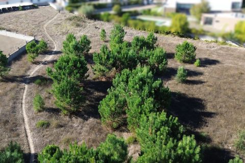 Helårsgrund i Maxial e Monte Redondo, Lisbon, Maxial e Monte Redondo - € 180.000 | Ref: SF-SAFTI:005811 - foto 13