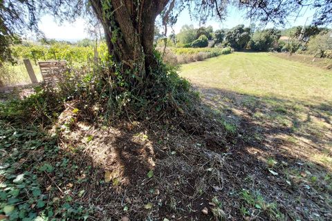 Helårsgrund i Moncao, Viana do Castelo, Moncao - € 64.500 | Ref: SF-SAFTI:003954 - foto 1