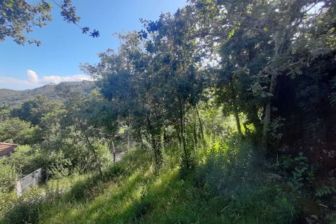 Villa i Melgaco, Viana do Castelo, Melgaco - € 58.000 | Ref: SF-SAFTI:00408 - foto 7