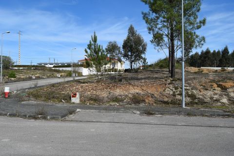 Helårsgrund i Pombal, Leiria, Pombal - € 42.500 | Ref: SF-SAFTI:006438 - foto 3