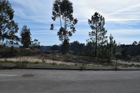 Helårsgrund i Pombal, Leiria, Pombal - € 42.500 | Ref: SF-SAFTI:006438 - foto 5