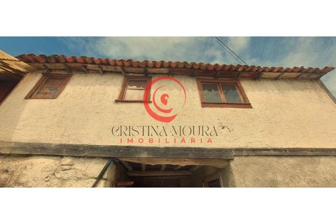 Farm i Chaves, Vila Real, Chaves - € 120.000 | Ref: CM01-0017 - foto 13
