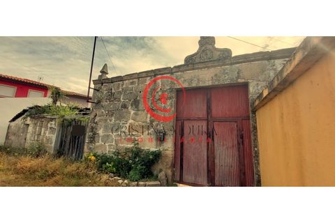 Farm i Chaves, Vila Real, Chaves - € 120.000 | Ref: CM01-0017 - foto 15