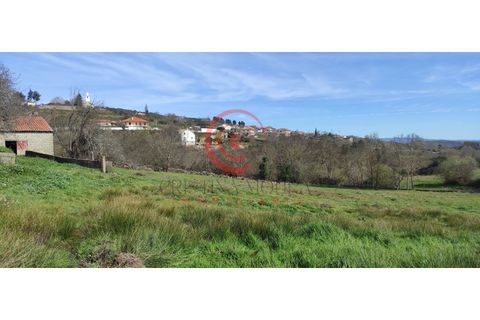 Helårsgrund i Chaves, Vila Real, Chaves - € 30.000 | Ref: CM01-0082 - foto 3