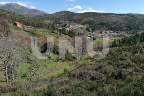 Helårsgrund i Covilha, Castelo Branco, Covilha - € 47.500 | Ref: UNU.I.2130.12348 - foto 17