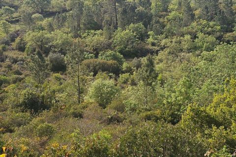 Helårsgrund i Loures, Lisbon, Loures - € 50.000 | Ref: C0263-01963 - foto 11