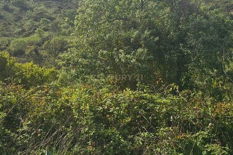 Helårsgrund i Loures, Lisbon, Loures - € 50.000 | Ref: C0263-01963 - foto 13
