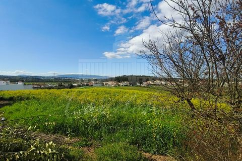 Farm i Riachos, Santarem, Riachos - € 435.000 | Ref: MAS_160 - foto 2