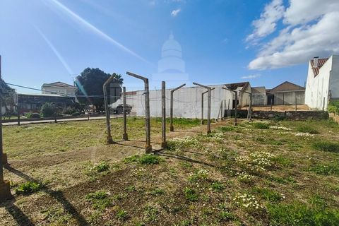 Farm i Riachos, Santarem, Riachos - € 435.000 | Ref: MAS_160 - foto 5