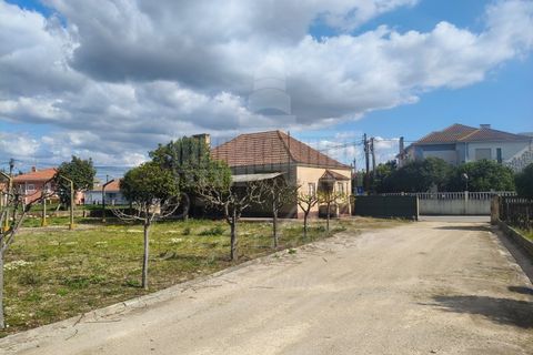 Farm i Riachos, Santarem, Riachos - € 435.000 | Ref: MAS_160 - foto 6