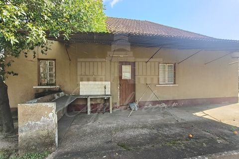 Farm i Riachos, Santarem, Riachos - € 435.000 | Ref: MAS_160 - foto 7