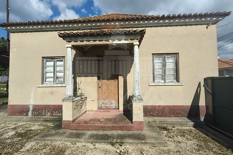Farm i Riachos, Santarem, Riachos - € 435.000 | Ref: MAS_160 - foto 8