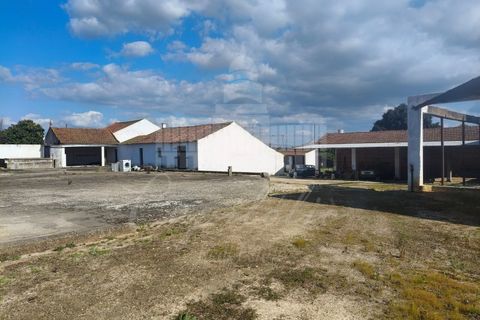 Farm i Riachos, Santarem, Riachos - € 435.000 | Ref: MAS_160 - foto 3