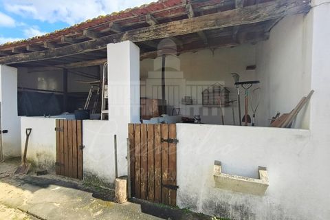 Farm i Riachos, Santarem, Riachos - € 435.000 | Ref: MAS_160 - foto 9