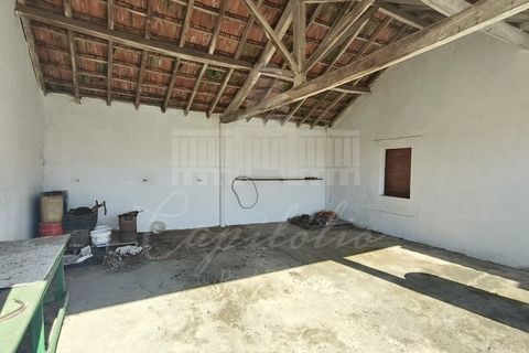 Farm i Riachos, Santarem, Riachos - € 435.000 | Ref: MAS_160 - foto 11