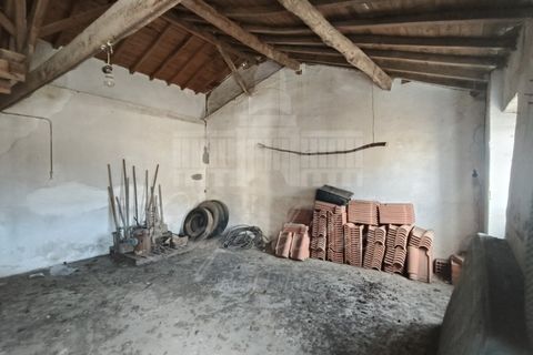 Farm i Riachos, Santarem, Riachos - € 435.000 | Ref: MAS_160 - foto 12